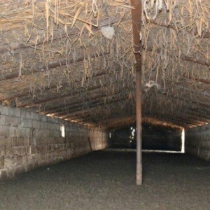 Ferma.Saatlı rayonunda.180 ha hektar torpaq sahesi.500 baş qoyun quzu.