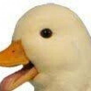 call duck tek feredi  özümde chixib erkeyi yoxdu