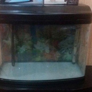 2 аквариума на 100 литров и на