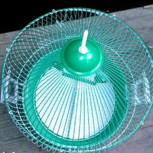 Papuqay qefesi satilir. Su qabi + yem qabi+ akeesuar qiymete daxildir.