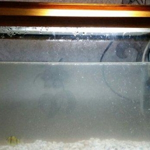 Akvarium  mator, icinin dasi ,isiq  eni21sm  hundu