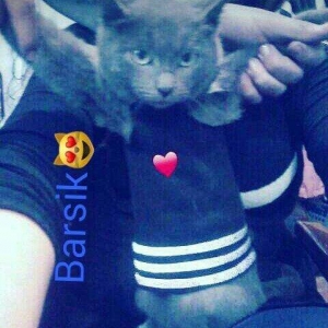 Rusakaya qalubaya paroda adlanan boz piwik satiram