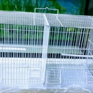 Teze iri qefes satilir.ARA kesmelidir. yeni iki ay