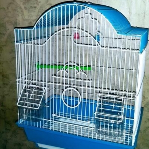 Iri qefes satilir. Su qabi , yem qabi,   papuqay  durmasi ucun cubuq v