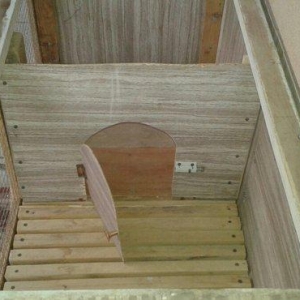 her cure kletkalar duzeldirem. Bu kletka dovsan ucun nezerde tutulub.