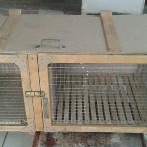 her cure kletkalar duzeldirem. Bu kletka dovsan ucun nezerde tutulub.