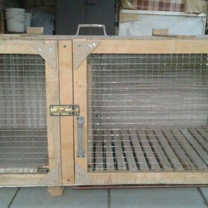 her cure kletkalar duzeldirem. Bu kletka dovsan ucun nezerde tutulub.