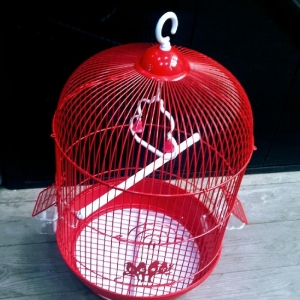 Teze iri qefes satilir. Urek acan rengi var . Su qabisi,yem qabisi,pap