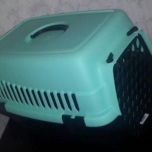 Teze iri turkiye istehsali it ve piwiklerin dawinm