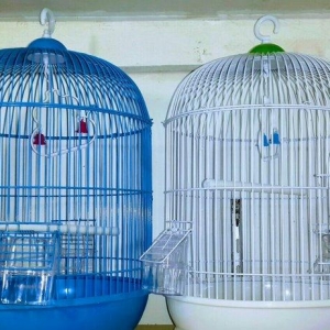 Teze boyuk qefes satilir goy qirmizi ve ag rengler