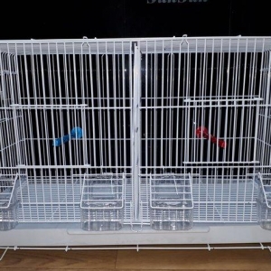 Quslarcun ortadan iki hisseye ayrila bilen boyuk q