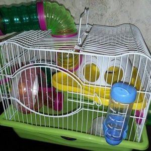 Teze iri Xamyak ve cunqArik qefesi satilir. Tam id