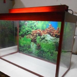 Teze akvarium 60 litrelik