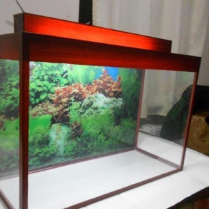 Teze akvarium 60 litrelik