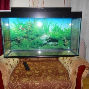 teze akvarium 6 mml wuwenin qalinliqi qapaqi var qapaqinda iwiqlar