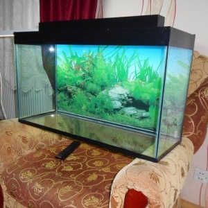 teze akvarium 6 mml wuwenin qalinliqi qapaqi var qapaqinda iwiqlar