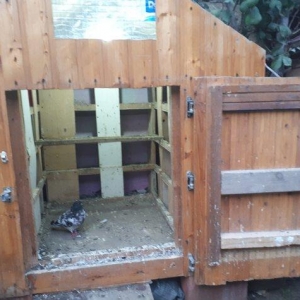 Quşxana satılır. 120 eni 120 uzunu. 1 metr hündürlük. 32 xanəsi var.