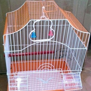 Teze iri qefes satilir. Su qabisi yem qabisi cubuqlari ve aksesuari us