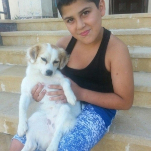 4 ayliqdir dislemir peyvendi teze vurulub novu zvanokdur disidir tecil