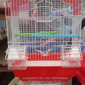 Quwlar ucun Teze qefesler. Istediyiniz mehsulu Zoo_online_shopping ins