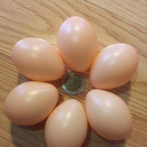 Sibrayt  yumurtası boydadır plasmasdan 5 eded fallıq yumurta bezi yumu