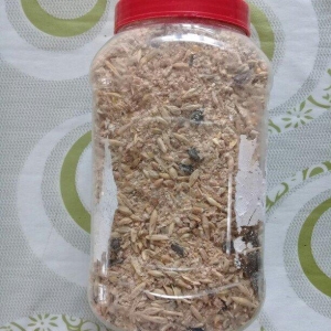 Dovşan, Dəniz donuzu (marskoy svinka), dağ siçanı (xamyak) və başaqa g