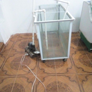 Baliq satiwi ucun akvariyum qalin 15mm lik wuwe kenarlari demir