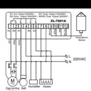 Inkubator ucun her seyi idare eden controller. Tem