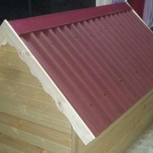 it ucun yuva ico izalasiya olunub laklanib su buraxmir. boyuk itler uc