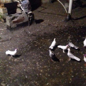 16 17 18 tukler real alici narahat elesi konturu olmaya yazmasin ancaq