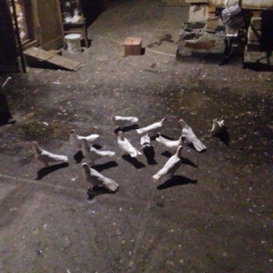 16 17 18 tukler real alici narahat elesi konturu olmaya yazmasin ancaq