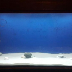 Rusiya istehsalı Akvarium üçün xırda fraksiyalı ağ qum (qrunt). 600 de