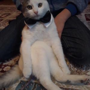 Salam. Oynagan pi****. Oynamagi cox sevir. Maraqli herketler edir. 80az