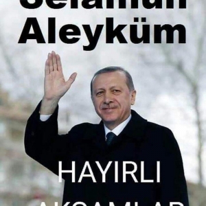 korella papuqay gutduler ev seraitinde baxilir ve tam saglam qusdular