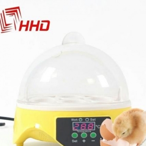 7 yumurtalıq İnkubator

yeni ,qutusunda 7 yumurt