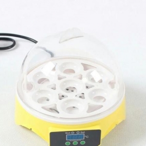 7 yumurtalıq İnkubator

yeni ,qutusunda 7 yumurtalıq İnkubator satılır