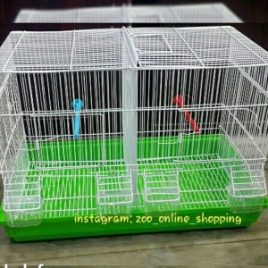 Papuqay amadin ve bulbullercun iki terefli ortadan