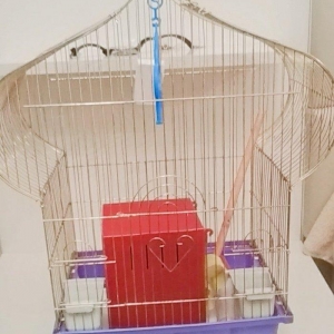 quş qefesi. ela veziyyetdedir.yuvasi yem qabi. su