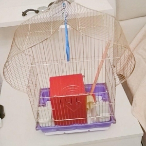 quş qefesi. ela veziyyetdedir.yuvasi yem qabi. su qabi. qum qabi. yell