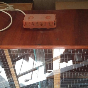 papuqaylar üçün iri qəfəsdi iki yuvası, işıqı, yay qapısı, qış qapısı