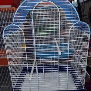 Papuqay ve korellalar cun teze qefes butun aksesuarlari ile birlikde