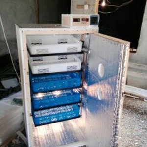 inqubator yigilir. tam avtomatik. isdenilen yumurta sayina. butun nov