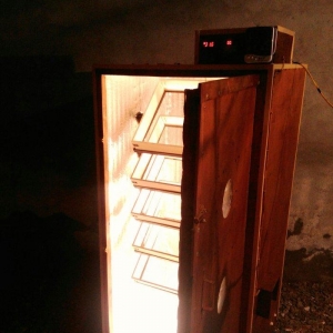 inqubator yigilir. tam avtomatik. isdenilen yumurta sayina. butun nov