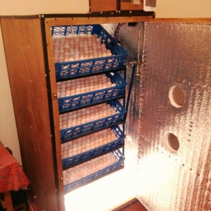 inkubatorlarin satisi ve yigilmasi. tam avtomatik is rejiminde isleyir