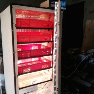 inkubator. tam avtomatik is rejimine malik olan inkubatotlarin yigilma