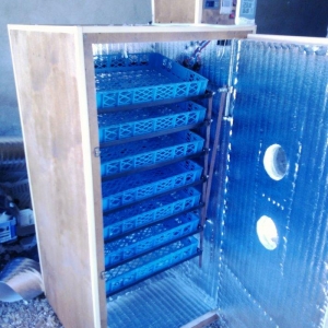 inkubator yigilir, tam avtomatik is rejimine malik