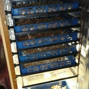 inkubator yigilir, tam avtomatik is rejimine malikdir. her bir sey avt