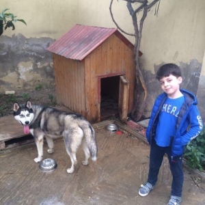 Temiz paroda xaski satilir 1yas 2ayligdi damiynan bir yerde 150azn e