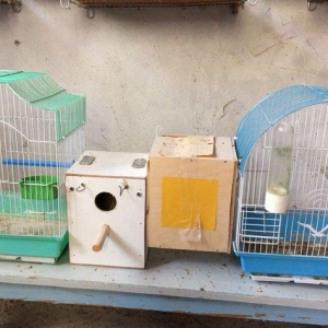 her cur islenmis qefesler.1 ci ve 2 ci sekildeki qefesler + yuva 15