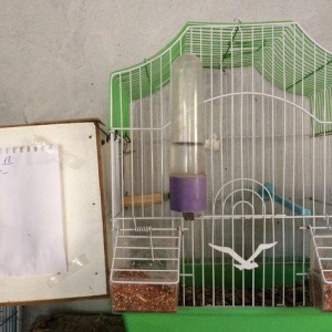 her cur islenmis qefesler.1 ci ve 2 ci sekildeki qefesler + yuva 15